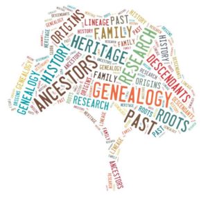 The Magic History of Genealogy Quiz