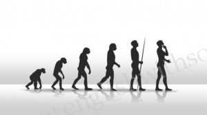 Ultimate infographic to understand human evolution
